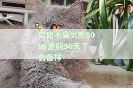 美团小贷欠款8000逾期90天了会怎样