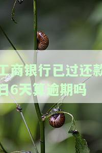 工商银行已过还款日6天算逾期吗