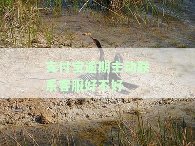 支付宝逾期打客服电话有用吗