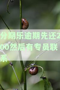 分期乐逾期先还200然后有专员联系