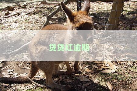 贷贷红逾期3年了突然又被催收，贷款逾期3年了会怎么样？