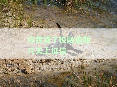 你我贷极融可以逾期几天还款，并会打电话给通讯录和紧急联系人吗？