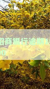 招商银行逾期1000