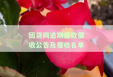 团贷网逾期借款催收公告及催收名单