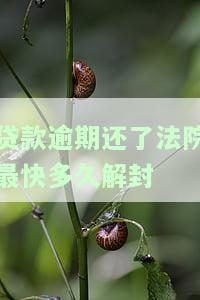 贷款逾期还了法院最快多久解封银行卡账户