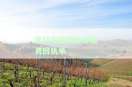 支付宝逾期协商服务回执单