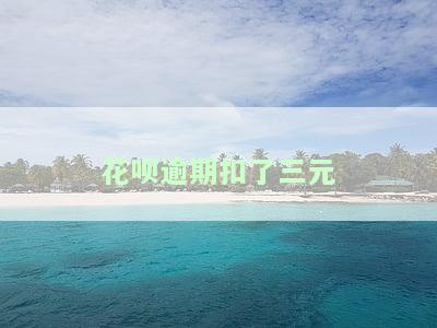 花呗逾期自己扣款了,钱能要回来吗，怎么办，安全吗？