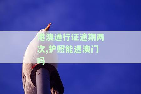港澳通行证逾期一天会怎么样处理