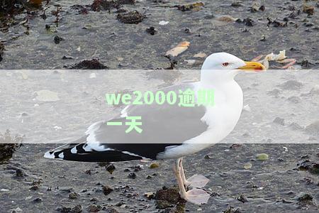 we2000逾期一天