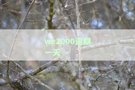 we2000逾期一天