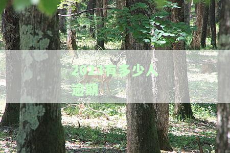 2023年逾期起诉人数及2020年逾期人数和欠款统计