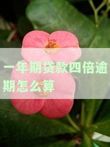 一年期贷款四倍逾期怎么算