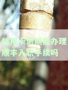 信用卡逾期能办理顺丰入职手续吗