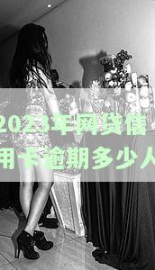 2023年网贷信用卡逾期多少人会被起诉成功