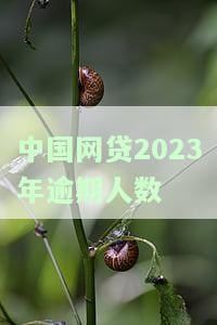 中国网贷2023年逾期人数