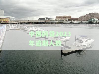 中国网贷2023年逾期人数