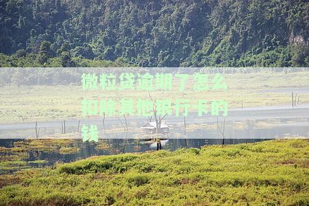 微粒贷逾期了怎么扣除其他银行卡的钱