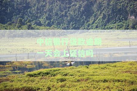 中信银行贷款逾期一天会上征信吗