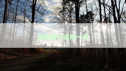 网商银行逾期一天还款后，当前帐户功能受限，为什么无法正常使用？