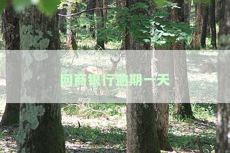 网商银行逾期一天