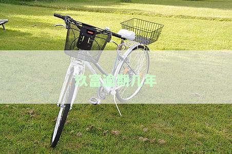 玖富逾期几年