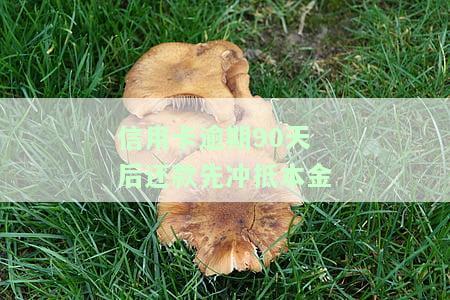 信用卡逾期90天后还款先冲抵本金