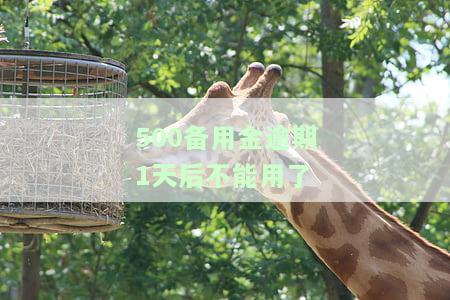 500备用金逾期1天后不能用了