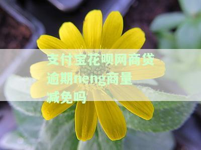 支付宝花呗网商贷逾期neng商量减免吗