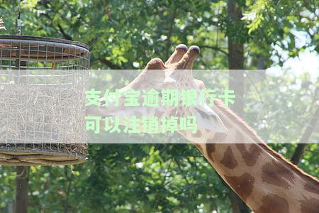 支付宝逾期银行卡可以注销掉吗