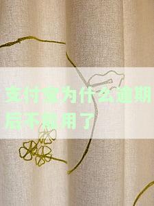 支付宝为什么逾期后不能用了