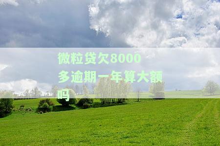 微粒贷欠8000多逾期一年算大额吗