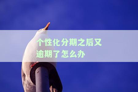 个性化分期后还不上怎么办及后果