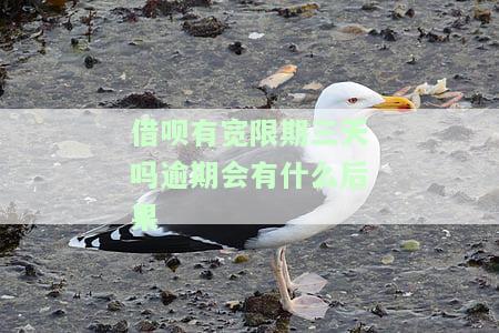 借呗宽限期内还款影响信用吗？怎么办？