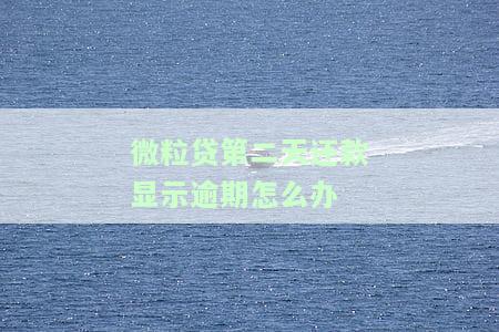 微粒贷第二天还款显示逾期怎么办