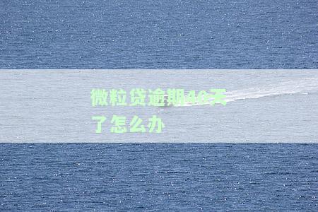 微粒贷逾期40天了怎么办理期还款及分期还款