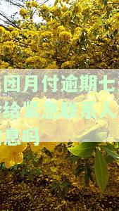 美团月付逾期七天会给紧急联系人发信息吗