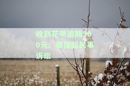 收到花呗逾期300元。要提起民事诉讼