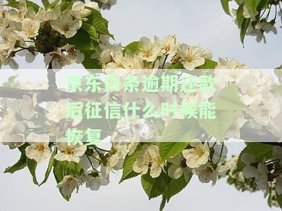 逾期还款后征信什么时候能恢复