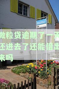 微粒贷逾期一天还了，还能借出来吗？安全吗？