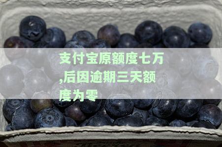支付宝原额度七万,后因逾期三天额度为零