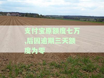 支付宝原额度七万,后因逾期三天额度为零