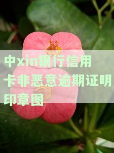 中xin银行信用卡非恶意逾期证明印章图