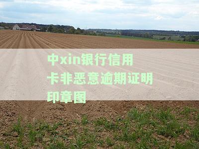 中xin银行信用卡非恶意逾期证明印章图