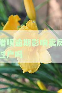 借呗逾期影响还房贷吗，怎么办？