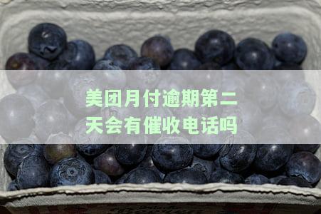 美团月付逾期第二天会有催收电话吗