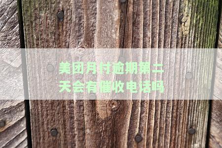 美团月付逾期第二天会有催收电话吗