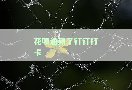 花呗逾期工资卡上发工资会直接扣掉吗？怎么办？