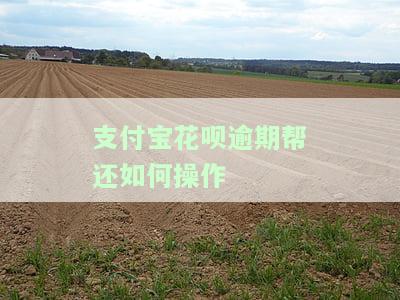 支付宝花呗逾期帮还如何操作
