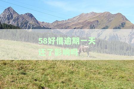 58好借逾期一天还了影响吗