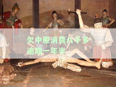 欠中原消费八千多逾期一年半